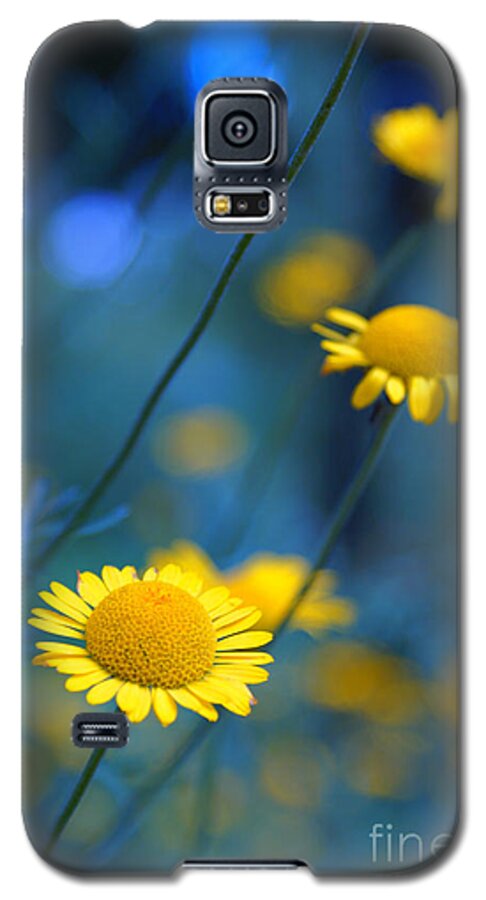 Daisies Galaxy S5 Case featuring the photograph Momentum 04a by Variance Collections