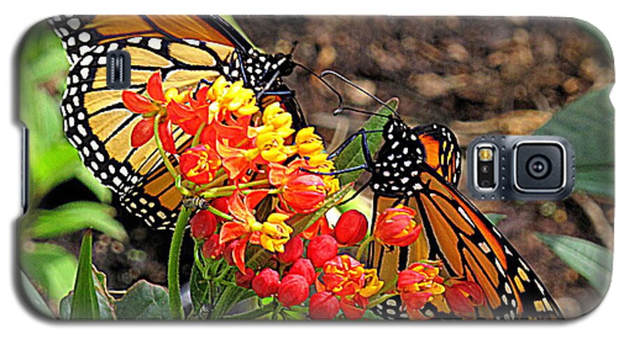 Butterfly Galaxy S5 Case featuring the photograph Monarch Handshake by Suzy Piatt