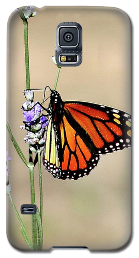 Monarch Galaxy S5 Case featuring the photograph Monarch by Matalyn Gardner