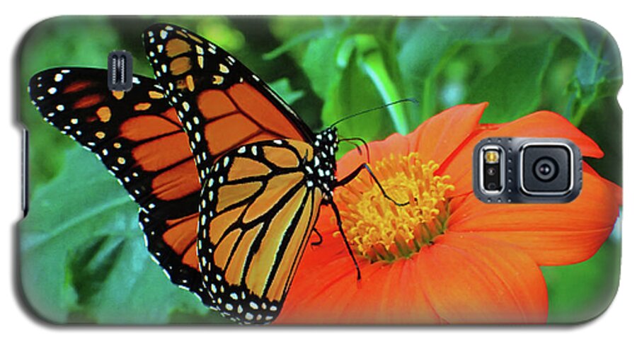 Monarch Galaxy S5 Case featuring the photograph Monarch on Mexican Sunflower by Nicole Angell