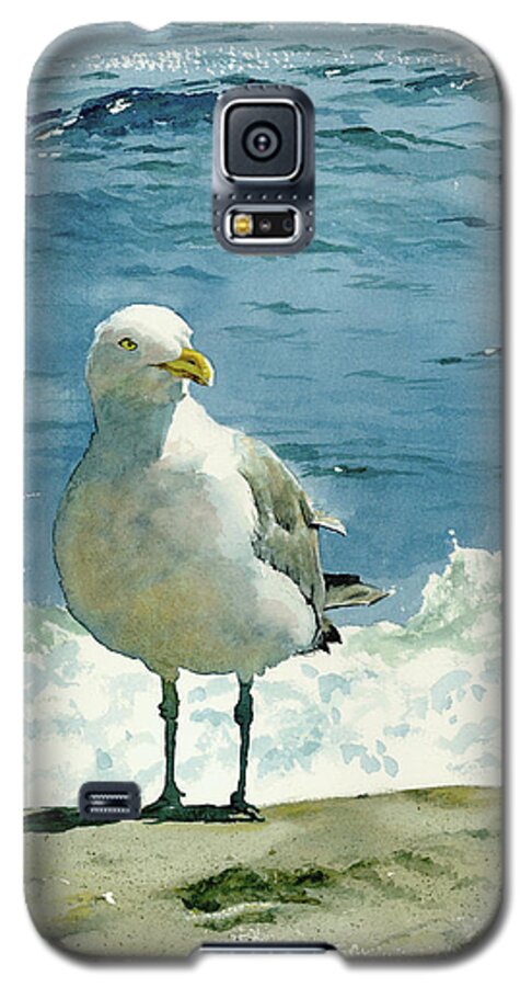 #faatoppicks Galaxy S5 Case featuring the painting Montauk Gull by Tom Hedderich