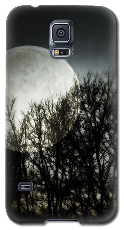 Moonlight Galaxy S5 Case featuring the photograph Moonlight by Marianna Mills