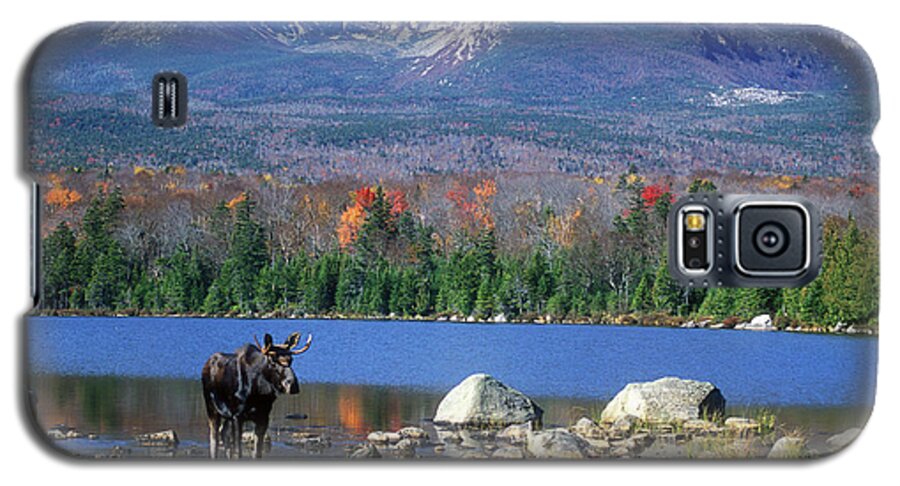 Moose Galaxy S5 Case featuring the photograph Moose and Mount Katahdin by John Burk
