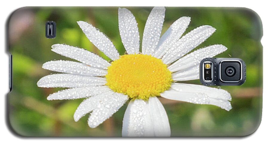 Flower Galaxy S5 Case featuring the photograph Morning Dew by John Benedict