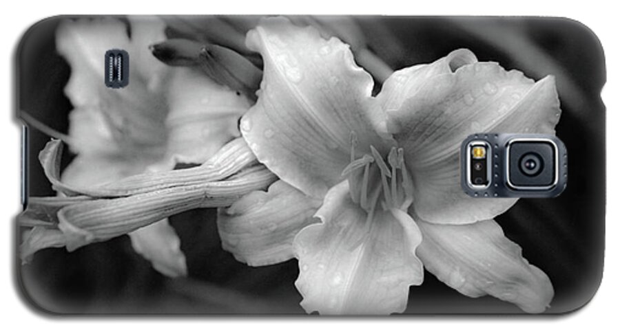 Dew Flower Morning Plant Black White Water Drops Droplets New York Lake Chautauqua Bemus Point Walk Galaxy S5 Case featuring the photograph Morning Dew on Lilies by Ross Henton