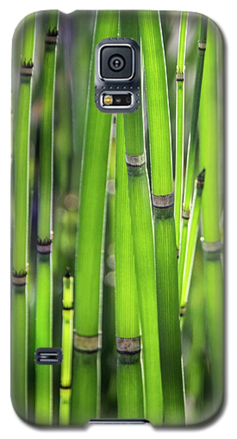 Glow Galaxy S5 Case featuring the photograph Morning Glow by James Woody