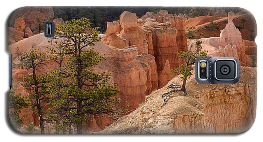 Bryce Canyon Galaxy S5 Case featuring the photograph Morning in Bryce Canyon by Agnes Caruso
