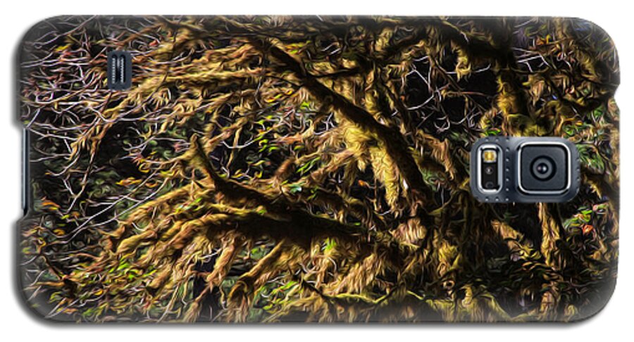 Mossy Trees Galaxy S5 Case featuring the photograph Mossy trees by Bonnie Follett
