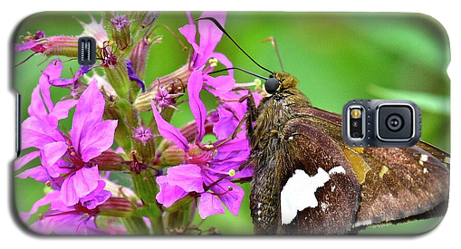 Wall Art Galaxy S5 Case featuring the photograph Moth by Jeffrey PERKINS
