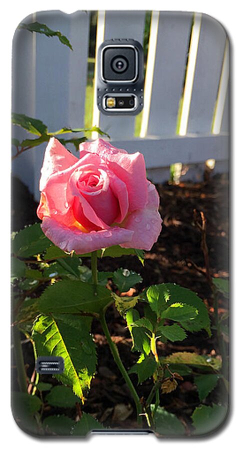 Rose Galaxy S5 Case featuring the photograph Mothers Day Rose by Matthew Seufer