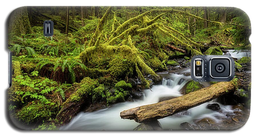 Creek Galaxy S5 Case featuring the photograph Mount Hood Creek by Jon Ares