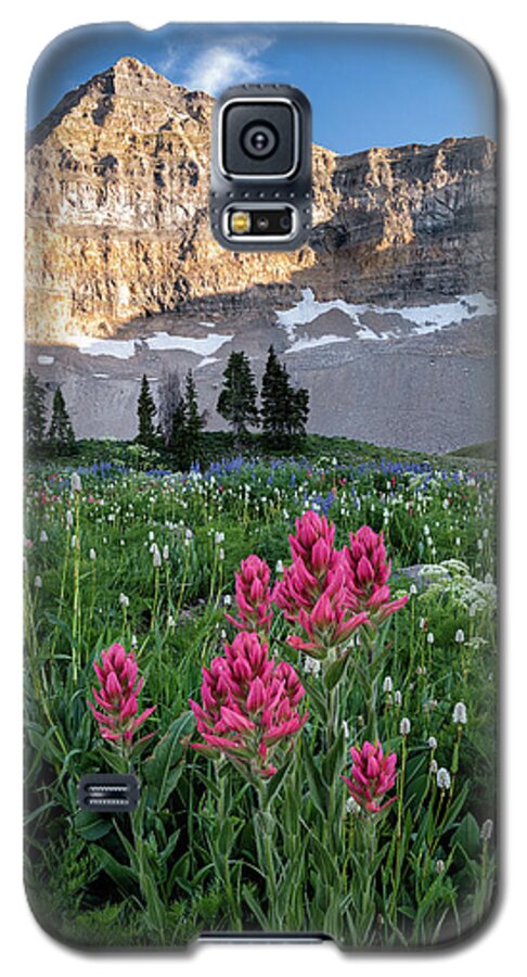 Wildlfowers Galaxy S5 Case featuring the photograph Mount Timpanogos Wildflowers by James Udall