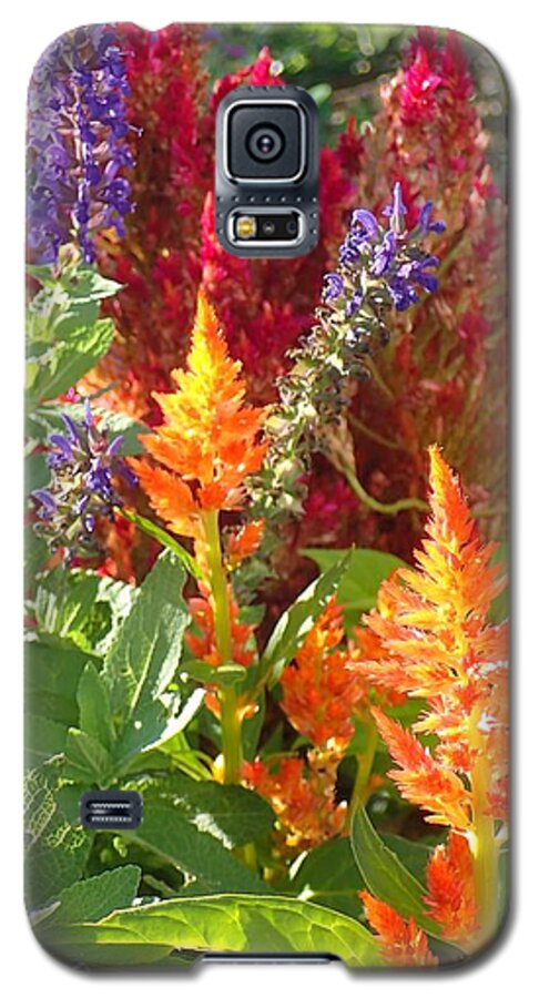 Flower Galaxy S5 Case featuring the photograph Multi-Color Energy by Christina Verdgeline