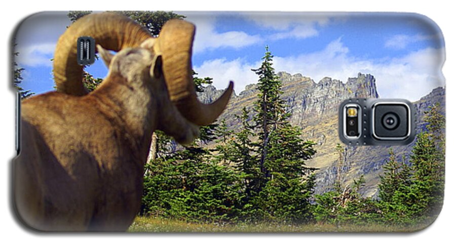 Glacier National Park Galaxy S5 Case featuring the photograph My Kingdom by Marty Koch