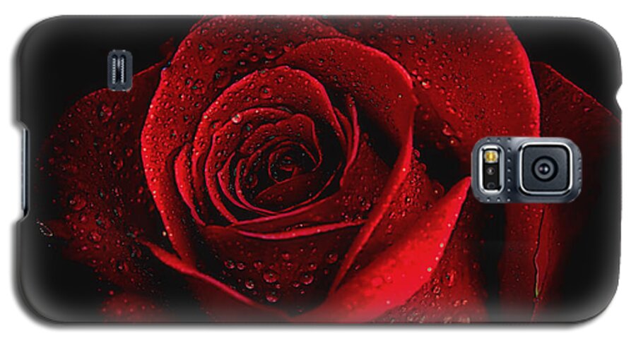 Roses Galaxy S5 Case featuring the photograph Mysterious by Elaine Malott