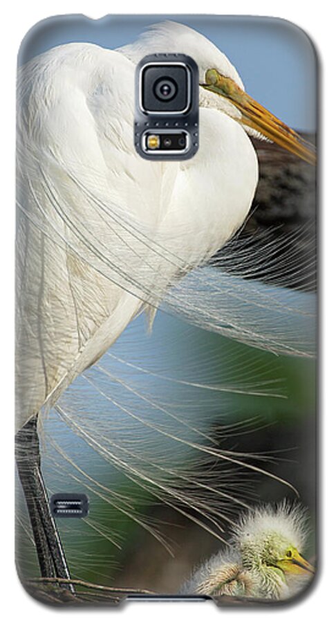Travel Galaxy S5 Case featuring the photograph Nap Time by Eilish Palmer