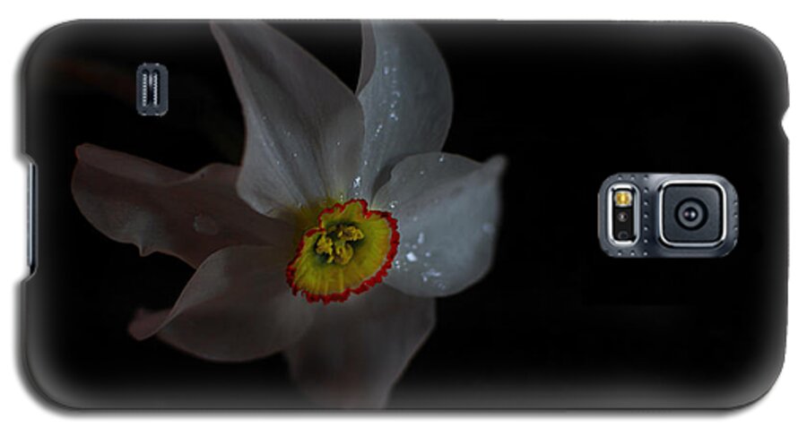 Nature Galaxy S5 Case featuring the photograph Narcissus by Sue Capuano