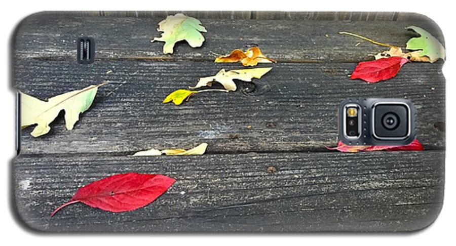 Autumn Galaxy S5 Case featuring the photograph Natural Fall by Brad Hodges