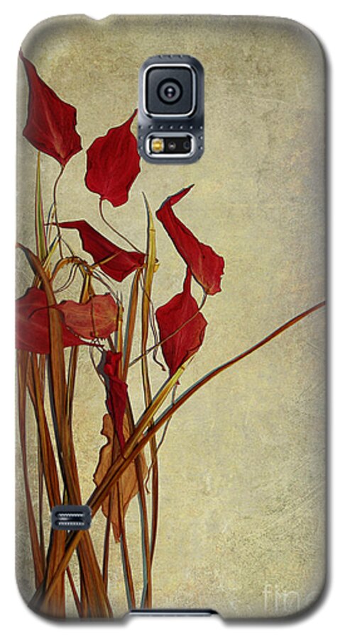 still Life�photography Galaxy S5 Case featuring the photograph Nature Morte Du Moment by Aimelle Ml