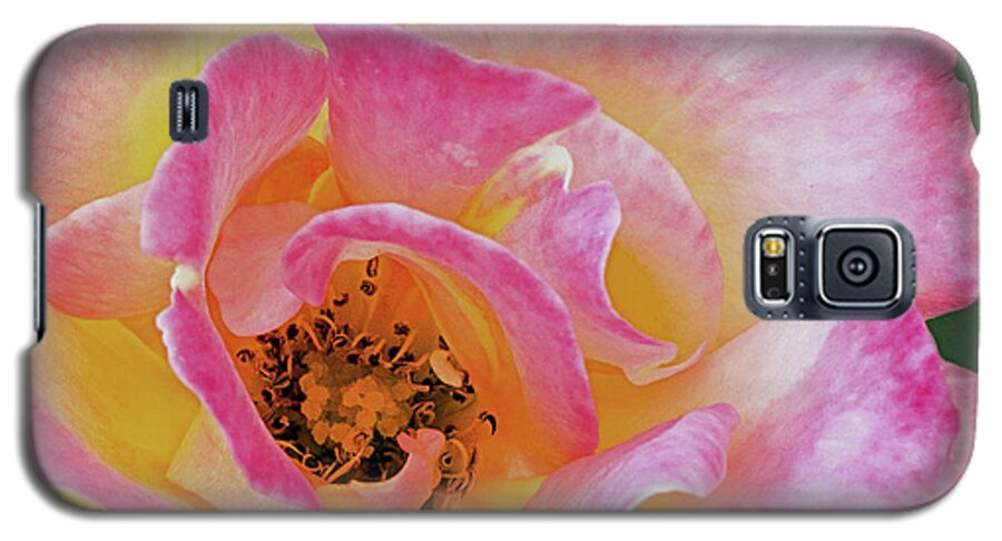 Flower Galaxy S5 Case featuring the photograph Nature's Beauty by Ed Clark