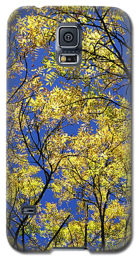 Inspiring Galaxy S5 Case featuring the photograph Natures Magic - Original by Rebecca Harman