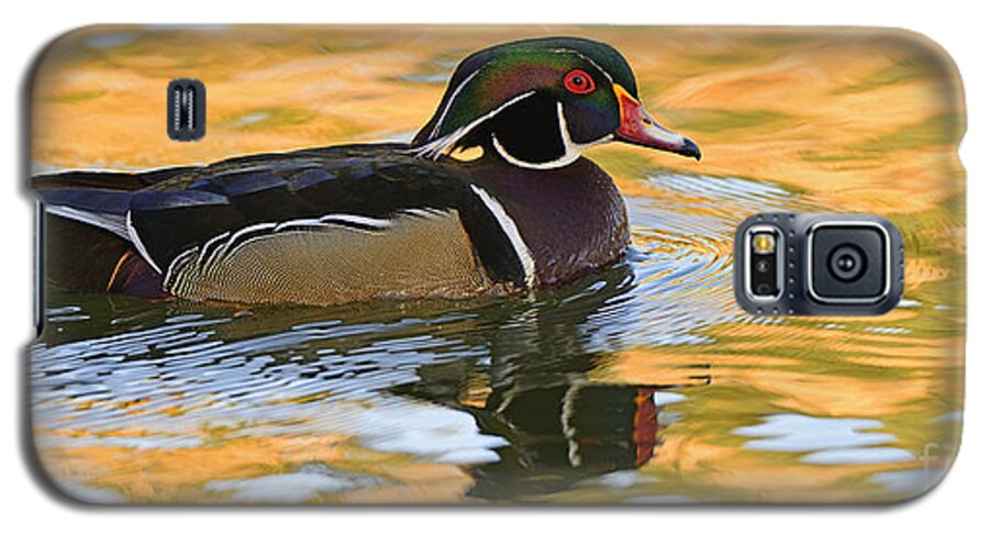 Birds Galaxy S5 Case featuring the photograph Natures Mirror  by John F Tsumas