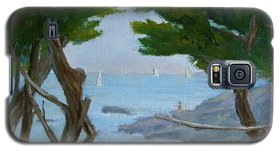 Ocean Seascape Landscape Sunlit Sailboats Galaxy S5 Case featuring the painting Nature's View by Scott W White