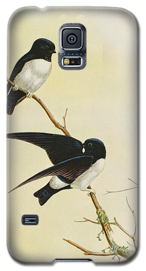 Swallow Galaxy S5 Case featuring the painting Nepal House Martin by John Gould
