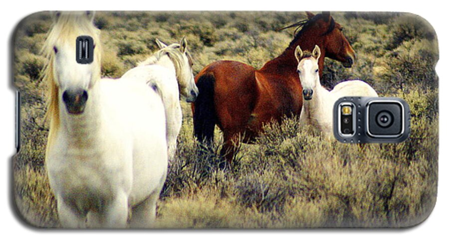 Horses Galaxy S5 Case featuring the photograph Nevada Wild Horses by Marty Koch