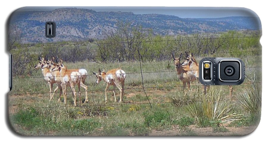 Antelope Galaxy S5 Case featuring the photograph New Mexico Antelope 1 by Sheri Keith