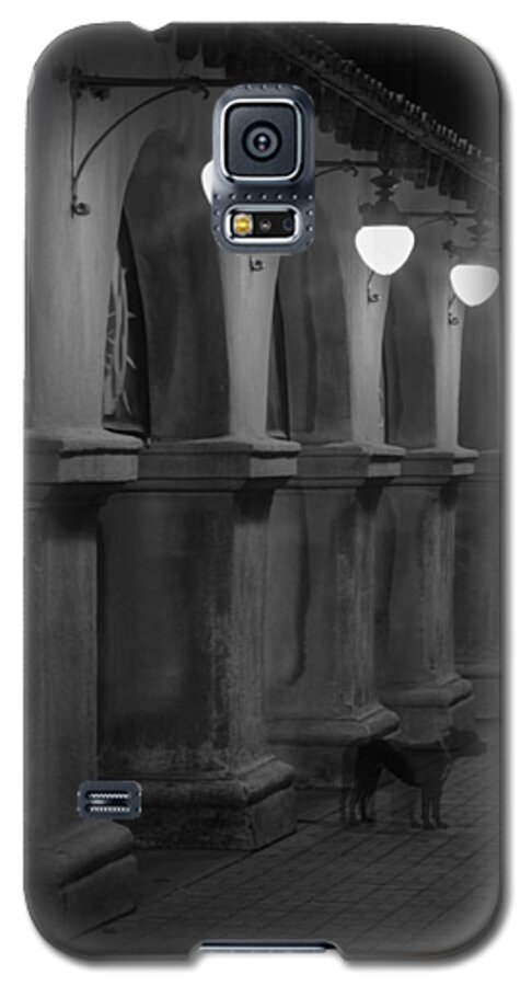 Balboa Park Galaxy S5 Case featuring the photograph Night Watchman by Dusty Wynne