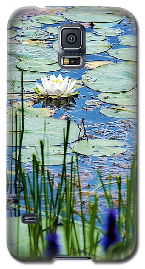Nymphaea Odorata Galaxy S5 Case featuring the photograph North American White Water Lily by Onyonet Photo studios