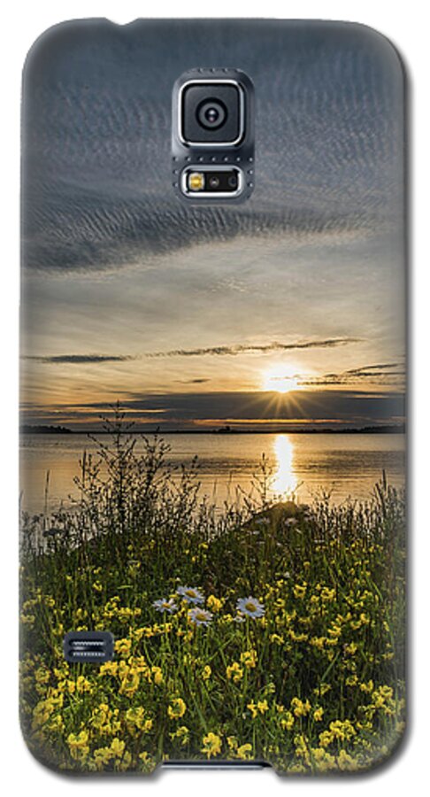 Nature Galaxy S5 Case featuring the photograph Northwoods Morning by Jody Partin