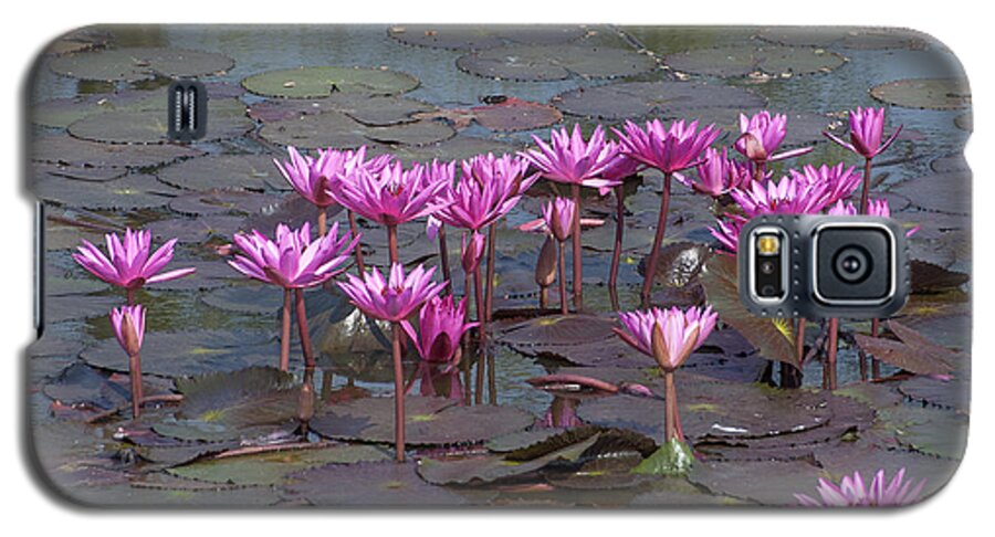 Temple Galaxy S5 Case featuring the photograph Nymphaea Water Lily DTHST0079 by Gerry Gantt