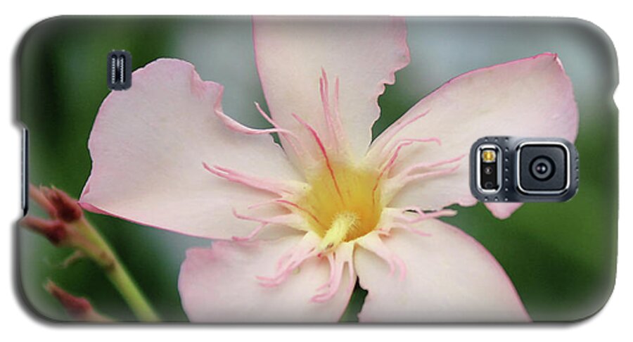 Oleander Galaxy S5 Case featuring the photograph Oleander Agnes Campbell by Wilhelm Hufnagl
