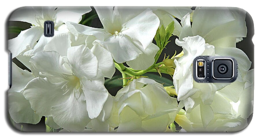 Oleander Galaxy S5 Case featuring the photograph Oleander Mont Blanc 2 by Wilhelm Hufnagl