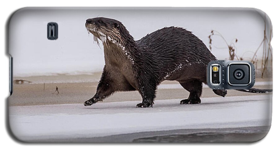 Otter Galaxy S5 Case featuring the photograph On the Move by Jody Partin