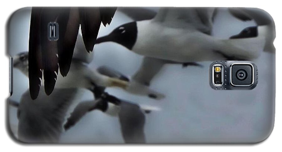 Seagull Galaxy S5 Case featuring the photograph On the Wing by Stoney Lawrentz