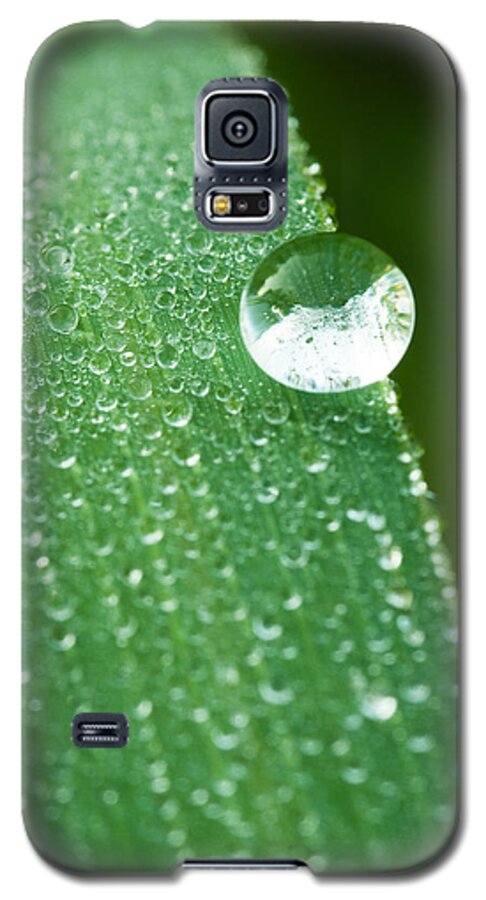 Blendon Woods Galaxy S5 Case featuring the photograph One Big Drop by Monte Stevens