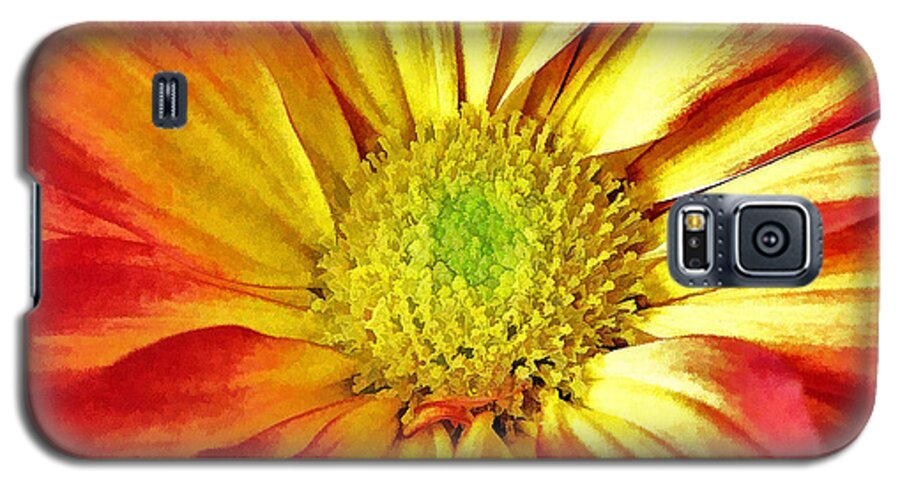 Flower Galaxy S5 Case featuring the photograph Orange Burst by Allen Beatty