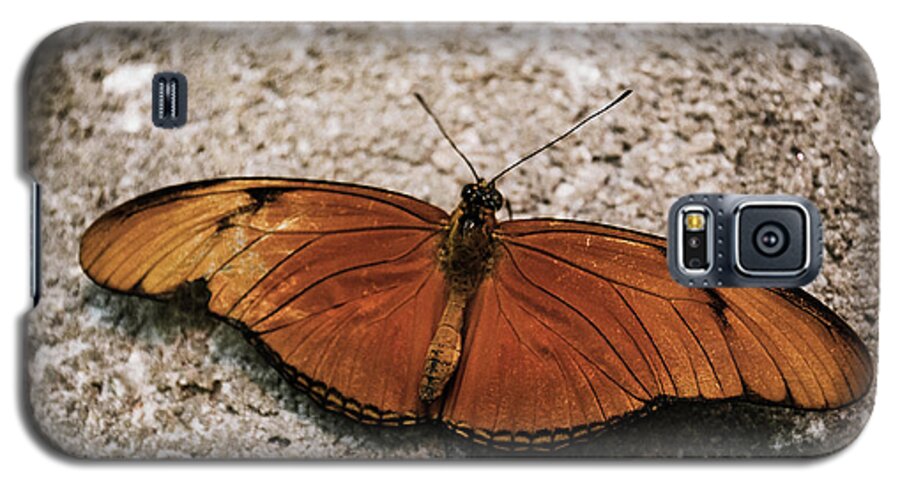 Butterflies Galaxy S5 Case featuring the photograph Orange Butterfly by Brad Thornton