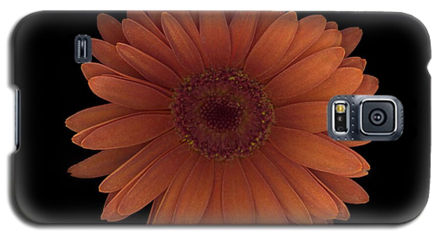 Orange Galaxy S5 Case featuring the photograph Orange Daisy Front by Heather Kirk