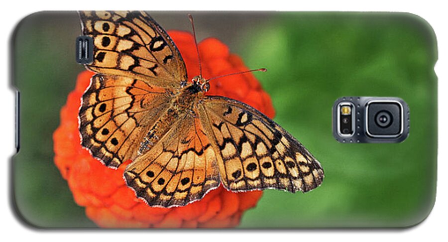 Butterfly Galaxy S5 Case featuring the photograph Orange Orange Green by Art Cole