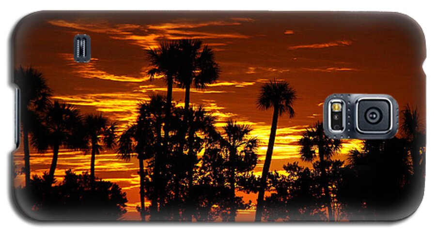 Sunset Galaxy S5 Case featuring the photograph Orange Skies by Barbara Bowen