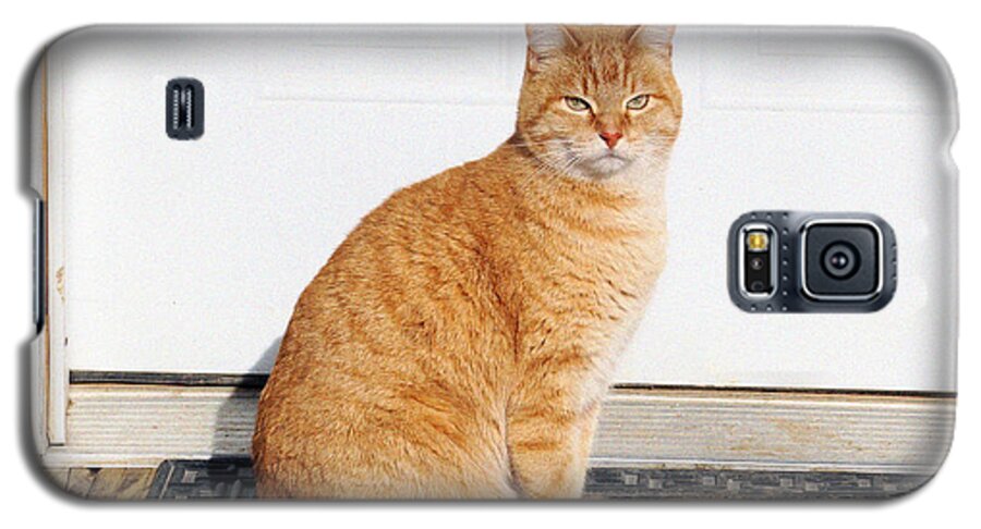 Proud Cat Galaxy S5 Case featuring the digital art Orange Tabby Cat by Jana Russon