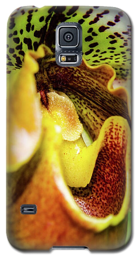 Cleveland Botanical Gardens Galaxy S5 Case featuring the photograph Orchid Faces by Stewart Helberg