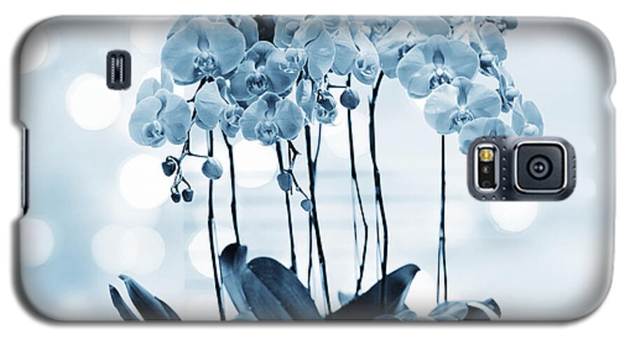 Orchid Galaxy S5 Case featuring the photograph Orchid Flowers Blue Tone by Charline Xia