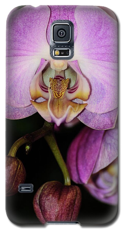 Cleveland Galaxy S5 Case featuring the photograph Orchid Life by Stewart Helberg