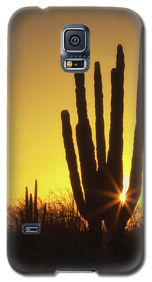 Organ Pipe Galaxy S5 Case featuring the photograph Organ Pipe cactus by Tatiana Travelways