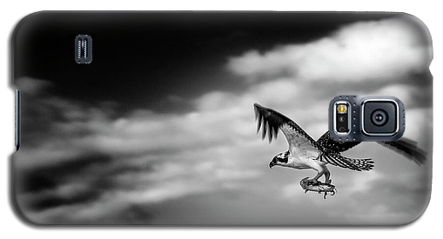Osprey Galaxy S5 Case featuring the photograph Osprey Catch of the Day by Greg and Chrystal Mimbs